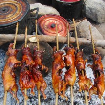Cuyos (guinea pigs), one of the Peruvian national dishes